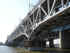 荒川アンダー ザ ブリッジファン Chakuwiki