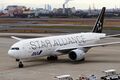Star-alliance 2.JPG