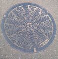 Machida manhole.jpg