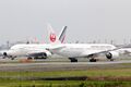 JAL B787.JPG