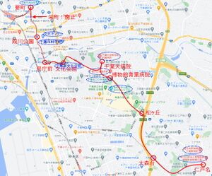 Chiba mono culture.jpg