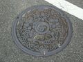 Taketoyo Manhole .jpg