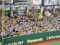 HanshinTigersFan00.jpg
