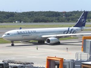 SKYTEAM.JPG