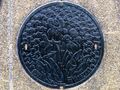 Takarazuka Manhole.jpg